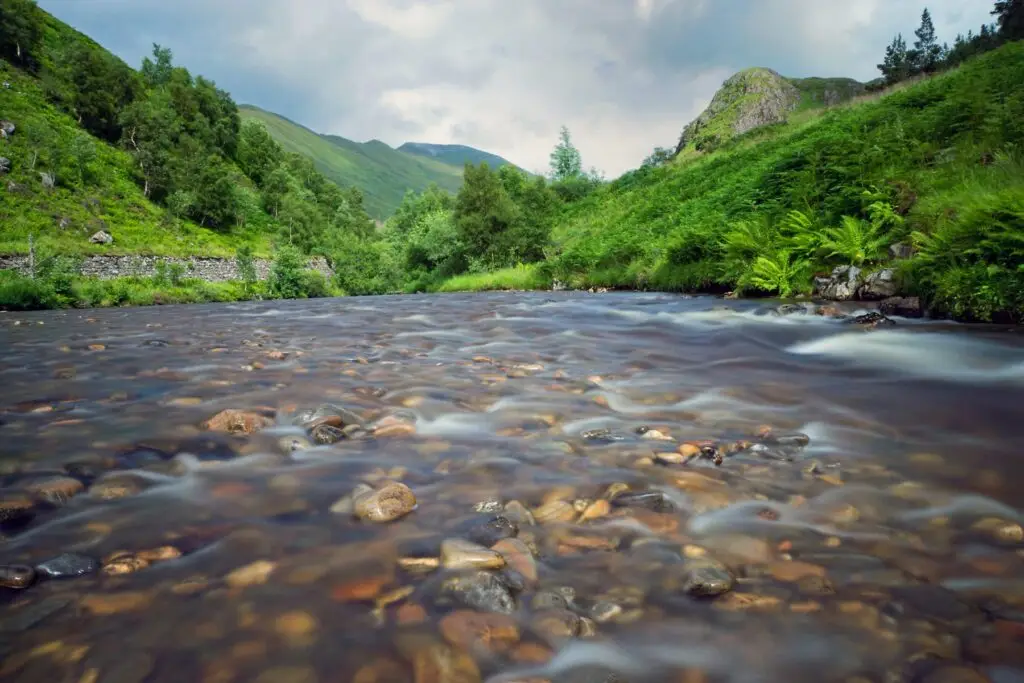 Scottish Environmental Protection Agency (SEPA)